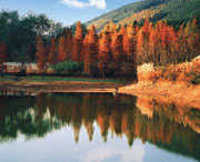 京山