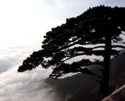 迎江