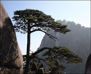 黄山