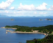金湾